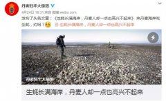 丹麦生蚝成灾求助中方 中国网友：吃光了盖蚝宅